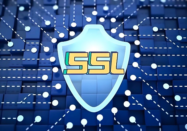 SSL端口